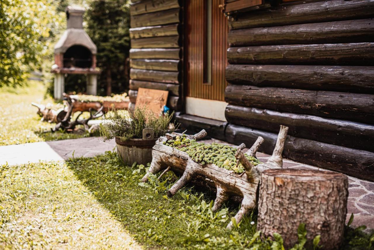 Cottage Hidden Pearl Zgornje Jezersko Εξωτερικό φωτογραφία