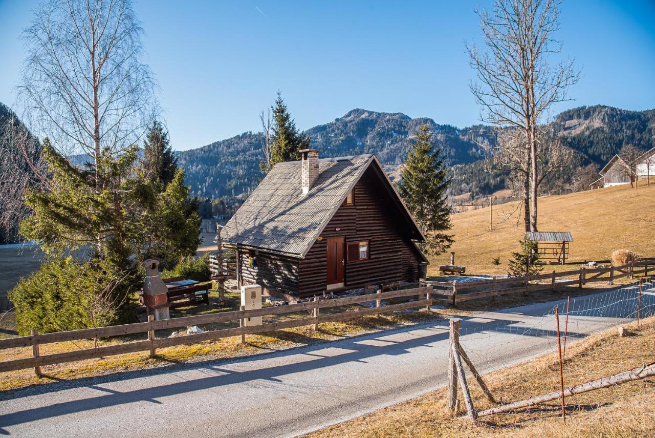 Cottage Hidden Pearl Zgornje Jezersko Εξωτερικό φωτογραφία
